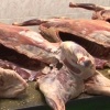 Ветврача Боградской станции подозревают в получении взятки от мясного...