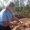 366 тысяч кубометров леса отправили на экспорт из Иркутской области за месяц