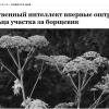 Первый штраф за борщевик с участием ИИ выписали в России
