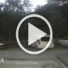 Неадекваты с клюшками продолжают кошмарить соседей в...