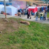 Сегодня в поселке Краснообск в рамках ярмарки «Краснообская осень» в качестве...