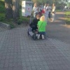 Самокатчик на острове Татышев насмерть сбил собаку