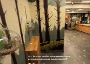 Обзор на тематический туалет Московского зоопарка сделала девушка — там есть...