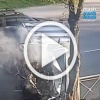 Дикая природа удивительна: рождение газелиста — прямо на...