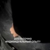 Медведь попал под машину на Полевском тракте В районе села Курганово...