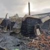 Собака и котята погибли во время пожара на ОбьГЭСе