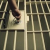 Похитителя 1,2 млн рублей со счета участника СВО отправили в СИЗО в Иланском...