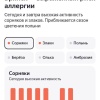 Индикатор пыльцы злаковых и сорняков зашкаливает в Брянске