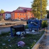 Бесхозные лошади в Брянске переворачивают мусорные контейнеры