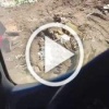 В Екатеринбурге произошла криминальная разборка на мусорном рынке с травматическим оружием