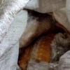 Во внедорожнике жителя Красноярского края найдена рыба и чёрная икра на 20...