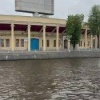 Баклана заметили на Петровском острове в Петербурге 🇷🇺 Источник: ЧП ПИТЕР