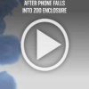 Обезьяны украли iPhone и стали блогерами