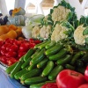 Ввоз продукции пяти экспортёров из Узбекистана ограничат с 23 июля, сообщил Россельхознадзор