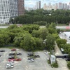В Екатеринбурге на Ботанике, как и опасались местные жители, начали вырубку деревьев.