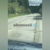 Медведь прогуливается рядом с аэропортом в Кодинске. Медведь неспешно ходил...