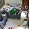 В Китае кошка устроила восстание и напала на хозяйку В одной из китайских...