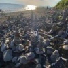 🏯 «Каменную деревню» выложили отдыхающие на пляже Золотари в Находке