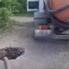 Экологи Хакасии снова поймали нарушителя, сливавшего нечистоты