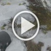 Свалкой зарос участок в районе посёлка Ташеба Усть-...