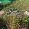 В поселке Вьюжный пятилетний мальчик погиб от удара током, когда линия...