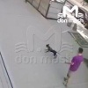 Хозяин натравил свою собаку на кота в центре Ростова — пёс разорвал его в клочья.