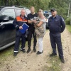 В Подмосковье мужчина полез на огромную сосну спасать кота, а в итоге спасать...