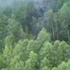 Место крушения Ан-24 в Амурской области с воздуха