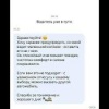 В рилсах завирусился таксист с котёнком — водителю не с кем оставить усатого малыша, и он берёт его с собой на заказы.