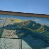 Снежный барс поселился на фасаде одного из домов Саяногорска