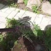 В Североуральске снова работает насосная станция Месяц город был без воды,...