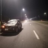 В Кемерове лось бросился ночью под колеса авто и умер