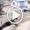 Мать вернулась домой после родительского собрания 