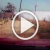 В Астрахани мужчина сбил с ног и принялся душить женщину, кормившую бездомных собак