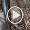 Очередной бесхозный земельный участок в центре города,...