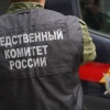 В Кемеровской области — Кузбассе перед судом предстанет местная жительница, обвиняемая в причинении смерти сыну по неосторожности