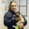 Красноярские полицейские спасли кошку со сломанной лапкой. Во время выезда в...