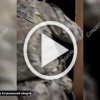 ММА-клуб в Астрахани оказался подпольным штабом ОПГ, которая «крышевала» местные заведения