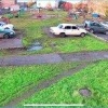 Стая собак напала на школьницу в Красноярском крае