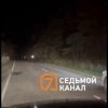 Наперегонки с медведем, или Обычный вечер в Сибири
