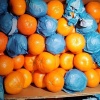 203 тонны мандаринов и апельсинов из ЮАР развернули на входе в Петербург из-за незваных пассажиров