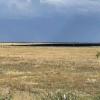 Ликвидация ландшафтного пожара завершена. В настоящее время устанавливается...