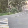 Неадекват избил нескольких женщин на Крестовском острове.