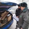 Потенциально опасные продукты везли на ярмарку в честь...