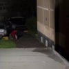 Двух землекопов заметили ра Косыгина, 75 в Новоильинском районе. 🇷🇺 Источник:...