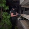 16-летний школьник напал с молотком на двух девочек в Подмосковье. Сейчас...