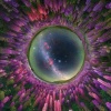 В сети показали лучшие снимки Млечного Пути по итогам конкурса Milky Way Photographer of the Year 2026