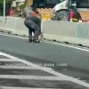 Милота дня: дед спас коалу, которая бродила по дороге, а потом наругал её за...