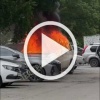 В Екатеринбурге пожарные под деревом наблюдали за тем,...