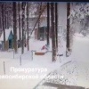 Момент падения дерева на ребёнка в новосибирском детсаду попал на видео....